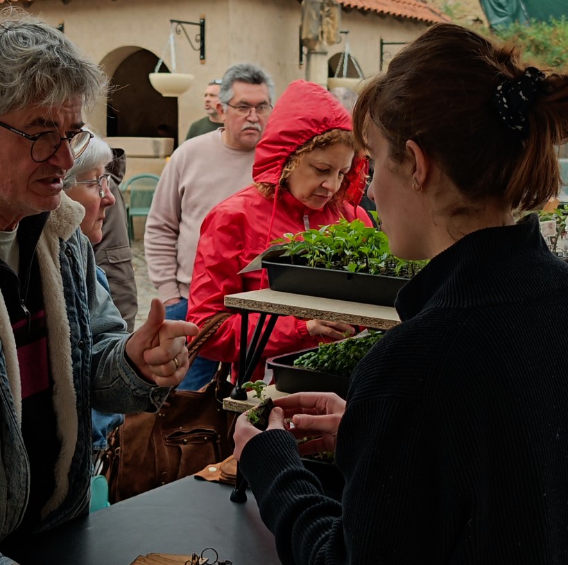 Conseil plant sur le marché
