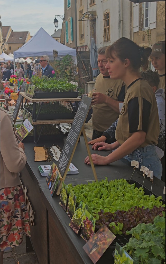 Stand GreenForge au marché de Rodemack