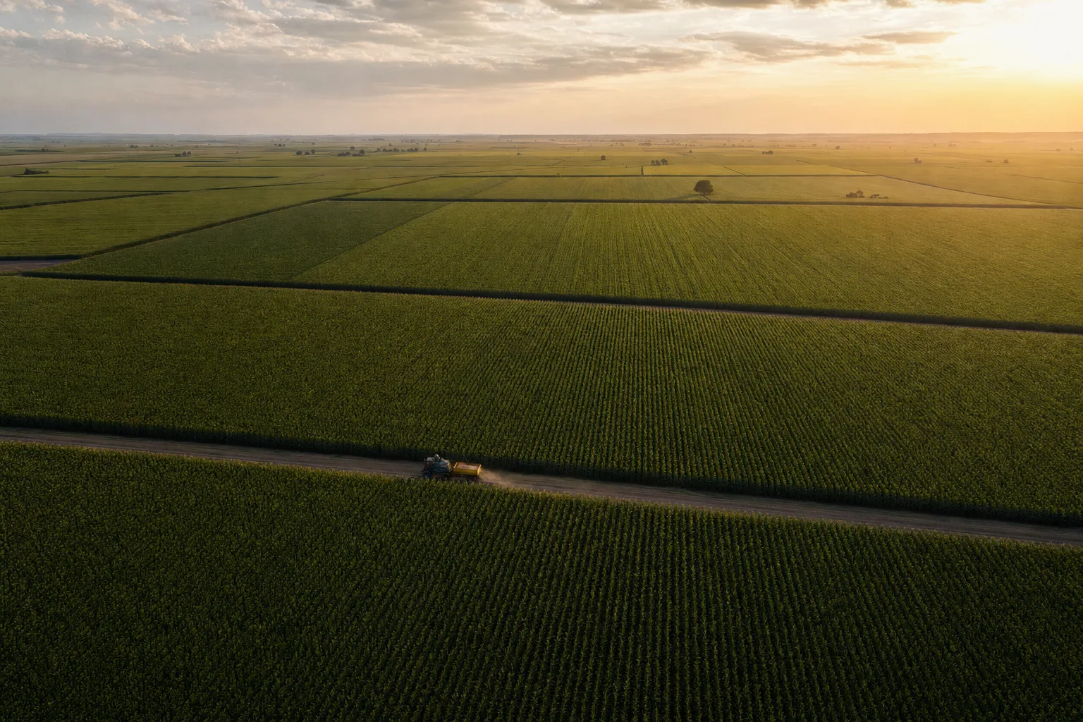 Champs agricoles à l'échelle planétaire symbolisant la demande alimentaire mondiale